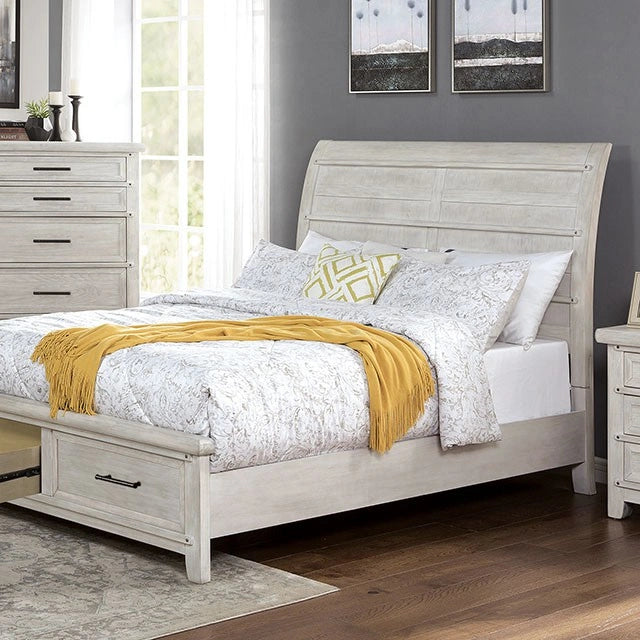 Shawnette Collection