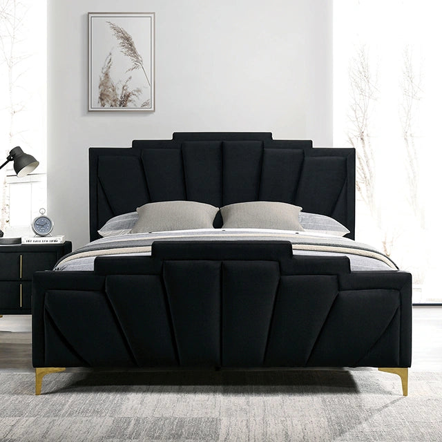 Black / Gold