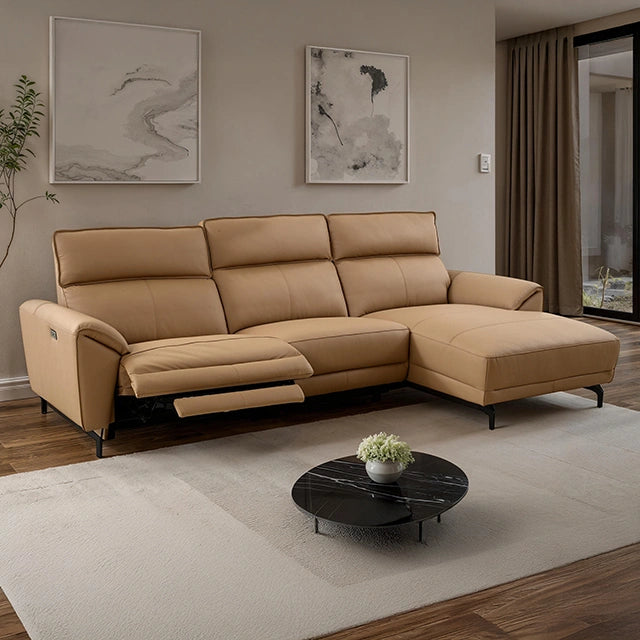 Theola Collection