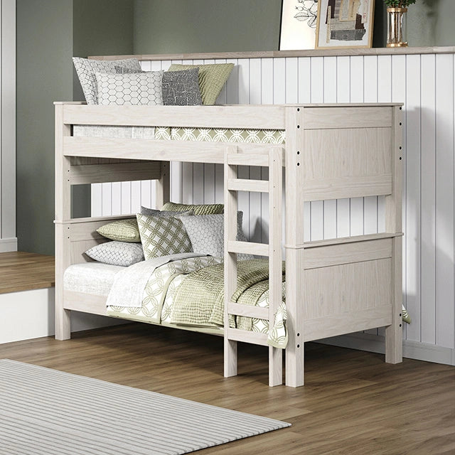 Albani Collection