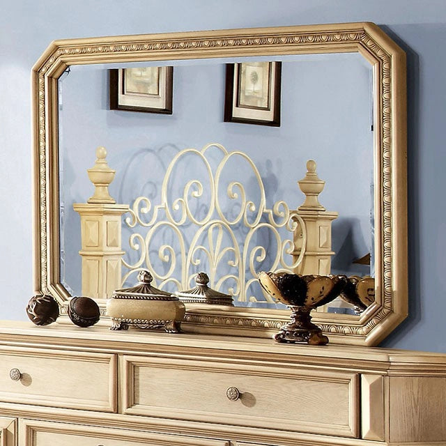 Waldenburg Collection