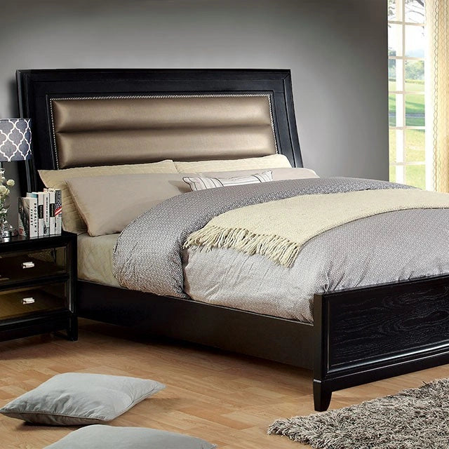 Black/Taupe