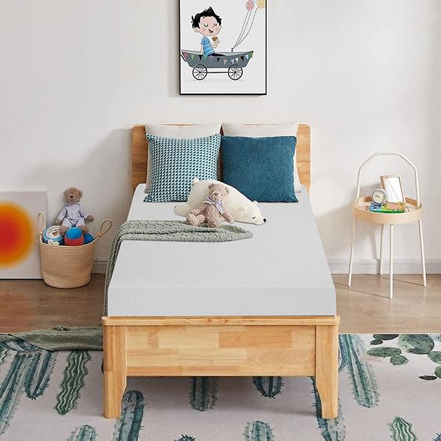 Artemisia 8" Memory Foam Mattress