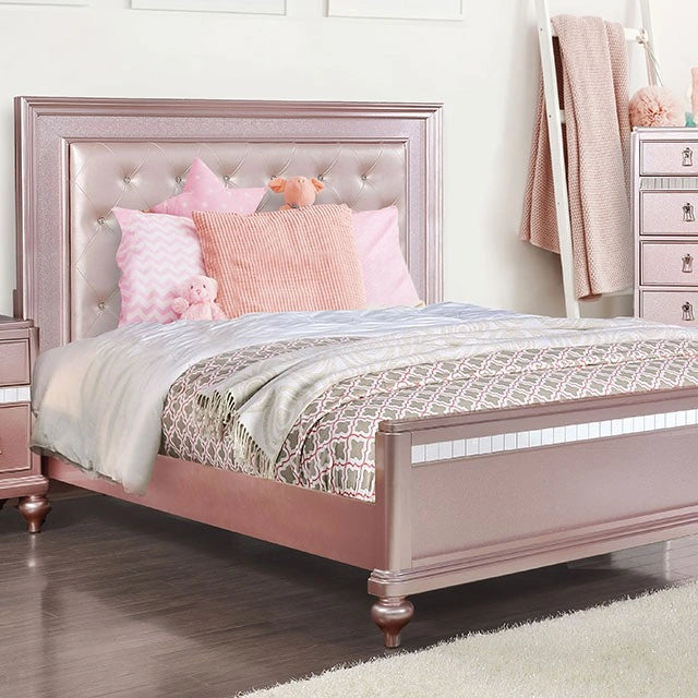 Avior Collection